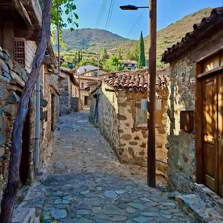 Traditional Lazania Machera Forest By Platform 357 Nicosia